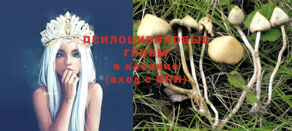 спиды Володарск