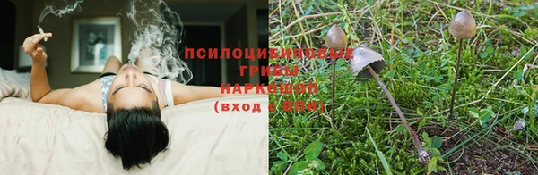 не бодяженный Волосово