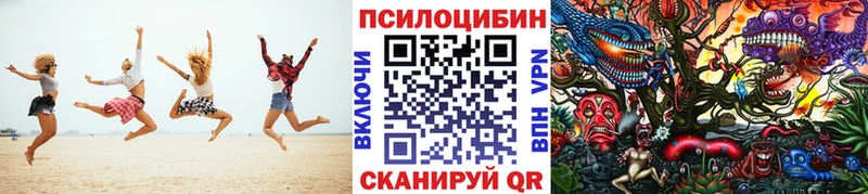 Галлюциногенные грибы Psilocybe  Вологда 